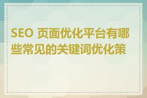 SEO 页面优化平台有哪些常见的关键词优化策略