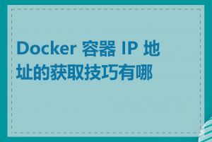 Docker 容器 IP 地址的获取技巧有哪些