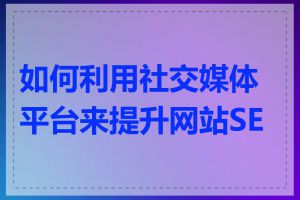 如何利用社交媒体平台来提升网站SEO