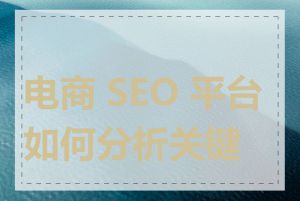 电商 SEO 平台如何分析关键词