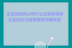 企业域名转让有什么注意事项吗_企业域名注册需要提供哪些信息