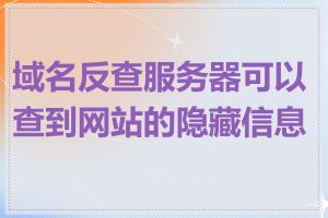 域名反查服务器可以查到网站的隐藏信息吗