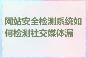 网站安全检测系统如何检测社交媒体漏洞