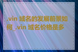 .vin 域名的发展前景如何_.vin 域名价格是多少