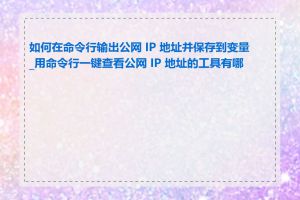 如何在命令行输出公网 IP 地址并保存到变量_用命令行一键查看公网 IP 地址的工具有哪些