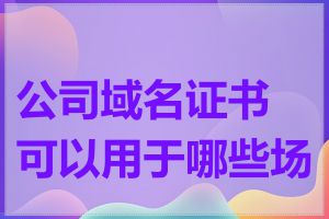 公司域名证书可以用于哪些场景