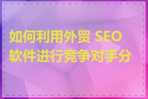 如何利用外贸 SEO 软件进行竞争对手分析