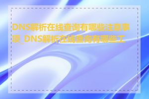 DNS解析在线查询有哪些注意事项_DNS解析在线查询有哪些工具