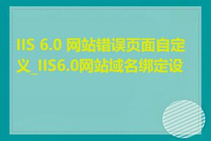 IIS 6.0 网站错误页面自定义_IIS6.0网站域名绑定设置