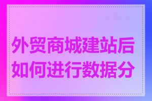 外贸商城建站后如何进行数据分析