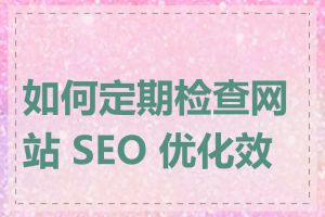 如何定期检查网站 SEO 优化效果