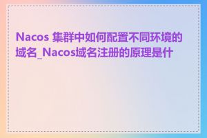 Nacos 集群中如何配置不同环境的域名_Nacos域名注册的原理是什么