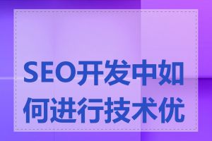 SEO开发中如何进行技术优化