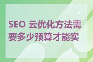 SEO 云优化方法需要多少预算才能实施