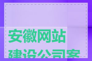 安徽网站建设公司案例