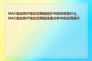 MAC地址和IP地址在网络拓扑中的体现是什么_MAC地址和IP地址在网络流量分析中的应用是什么