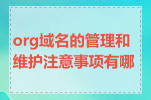 org域名的管理和维护注意事项有哪些