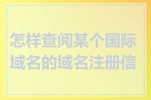 怎样查阅某个国际域名的域名注册信息