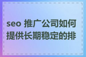 seo 推广公司如何提供长期稳定的排名