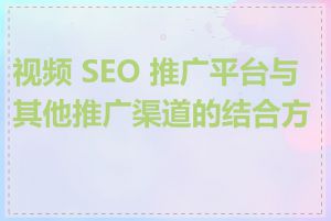 视频 SEO 推广平台与其他推广渠道的结合方式