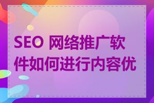 SEO 网络推广软件如何进行内容优化