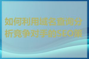 如何利用域名查询分析竞争对手的SEO策略