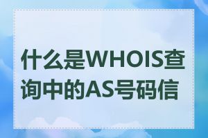 什么是WHOIS查询中的AS号码信息