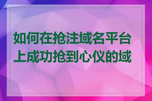 如何在抢注域名平台上成功抢到心仪的域名