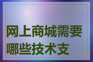 网上商城需要哪些技术支持