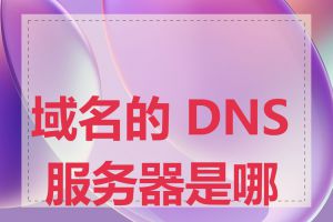 域名的 DNS 服务器是哪个