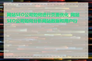 网站SEO公司如何进行页面优化_网站SEO公司如何分析网站数据和用户行为