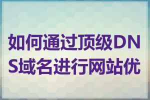 如何通过顶级DNS域名进行网站优化