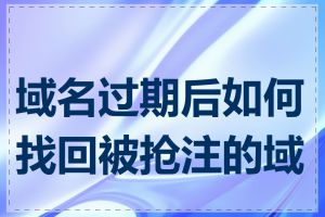 域名过期后如何找回被抢注的域名