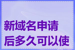 新域名申请后多久可以使用