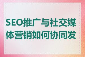 SEO推广与社交媒体营销如何协同发力