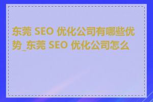 东莞 SEO 优化公司有哪些优势_东莞 SEO 优化公司怎么样