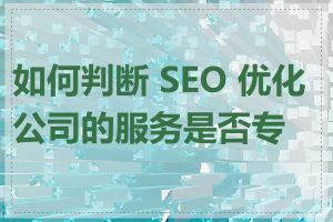 如何判断 SEO 优化公司的服务是否专业