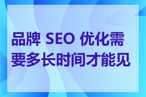 品牌 SEO 优化需要多长时间才能见效