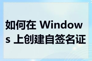 如何在 Windows 上创建自签名证书