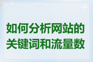 如何分析网站的关键词和流量数据