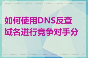 如何使用DNS反查域名进行竞争对手分析