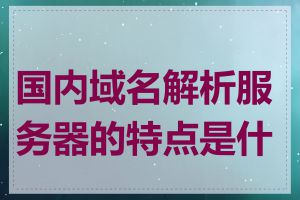 国内域名解析服务器的特点是什么