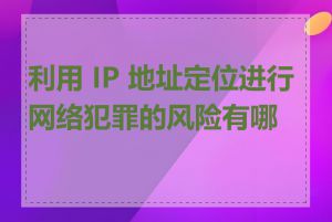 利用 IP 地址定位进行网络犯罪的风险有哪些