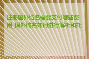 注册国外域名需要支付哪些费用_国外域名如何进行解析和托管