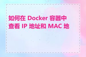 如何在 Docker 容器中查看 IP 地址和 MAC 地址