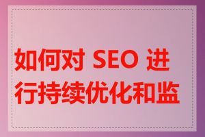 如何对 SEO 进行持续优化和监控