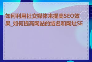 如何利用社交媒体来提高SEO效果_如何提高网站的域名和网址SEO