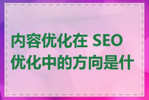 内容优化在 SEO 优化中的方向是什么