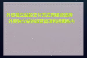 外贸独立站的支付方式有哪些选择_外贸独立站的运营管理包括哪些内容