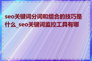 seo关键词分词和组合的技巧是什么_seo关键词监控工具有哪些